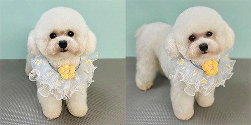 ��z��TP_�z���C�g