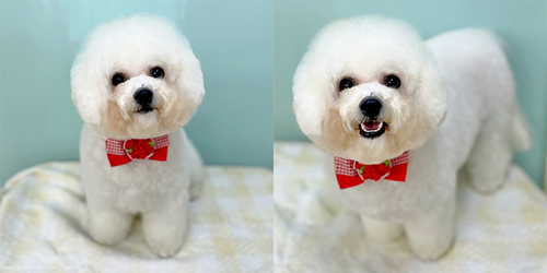 �ꌢ_�r�V�����t���[�[