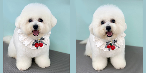 �ꌢ_�r�V�����t���[�[