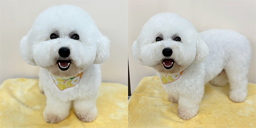 �ꌢ_�r�V�����t���[�[