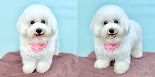 �ꌢ_�r�V�����t���[�[