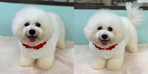 �ꌢ_�r�V�����t���[�[