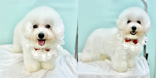 �ꌢ_�r�V�����t���[�[