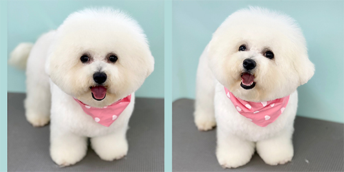 �ꌢ_�r�V�����t���[�[