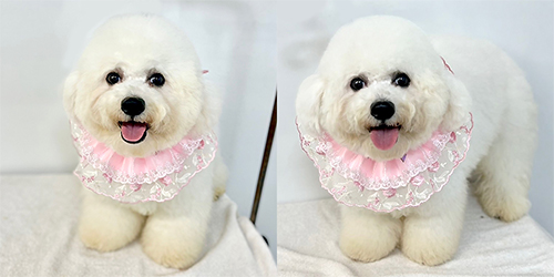 �ꌢ_�r�V�����t���[�[