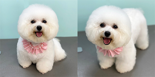 �ꌢ_�r�V�����t���[�[