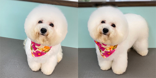 �ꌢ_�r�V�����t���[�[