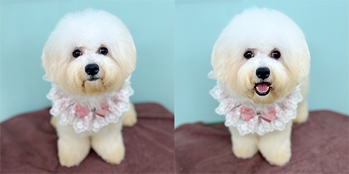 �ꌢ_�r�V�����t���[�[