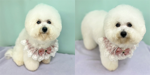 �ꌢ_�r�V�����t���[�[