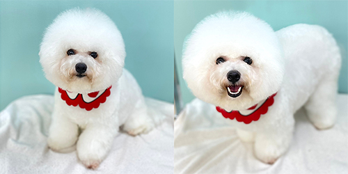 �ꌢ_�r�V�����t���[�[