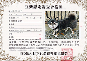 �ꌢ_����_��