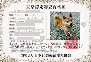 �ꌢ_����_��