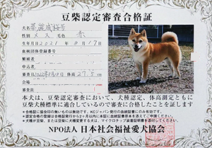 �ꌢ_����_��