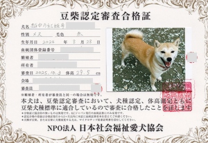 �ꌢ_����_��