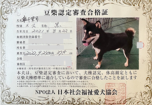 �ꌢ_����_��