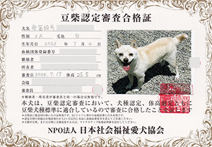 �ꌢ_����_��_�W��