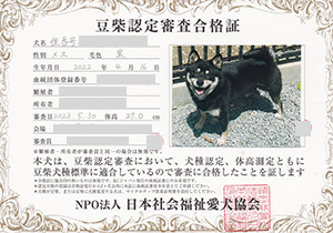 �ꌢ_����_��