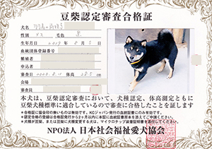 �ꌢ_����_��