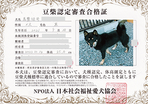 �ꌢ_����_��