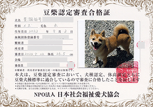 �ꌢ_����_��