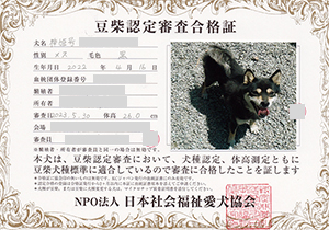 �ꌢ_����_��