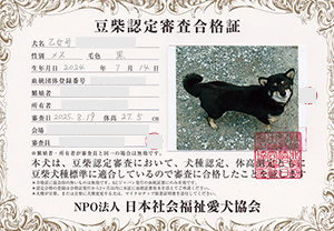 �ꌢ_����_��