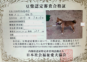 �ꌢ_����_��