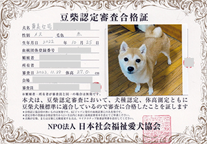 �ꌢ_����_��