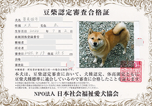 �ꌢ_����_��