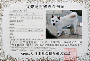 �ꌢ_����_��_�W��