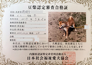 �ꌢ_����_��