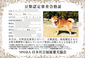 �ꌢ_����_��