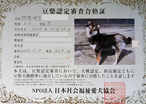 �ꌢ_����_��