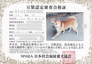 �ꌢ_����_��