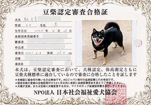 �ꌢ_����_��