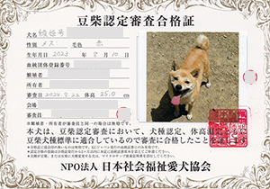 �ꌢ_����_��