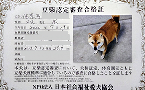 �ꌢ_����_��