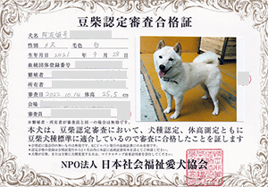 �ꌢ_����_��_�W��