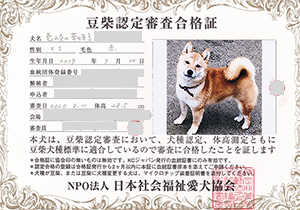 �ꌢ_����_��