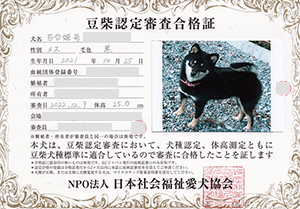 �ꌢ_����_��