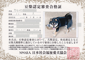 �ꌢ_����_��