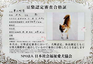 �ꌢ_����_��