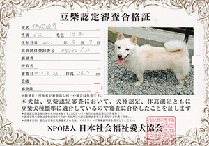 �ꌢ_����_��_�W��