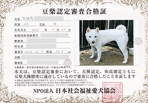 �ꌢ_����_��_�W��