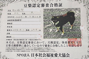 �ꌢ_����_��