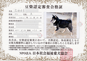 �ꌢ_����_��