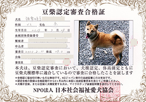 �ꌢ_����_��