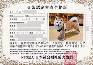 �ꌢ_����_��