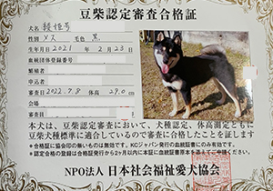 �ꌢ_����_��