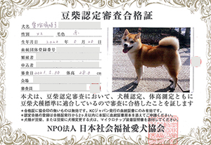 �ꌢ_����_��